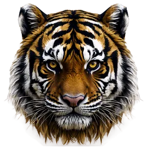 Growling Tiger Portrait Png 53 PNG image