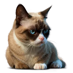 Grumpy Cat Meme PNG 05212024