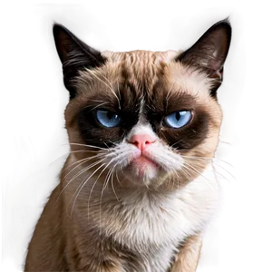 Grumpy Cat Meme PNG 78