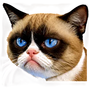 Grumpy Cat Meme Png Mpt10 PNG image
