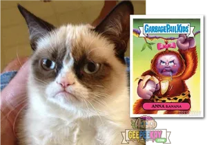 Grumpy Catand Garbage Pail Kids Card PNG image