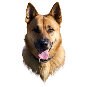 Guard Dog Transparent PNG Lol PNG