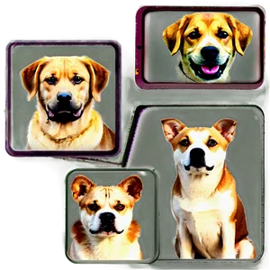 Guard Dogs PNG 84