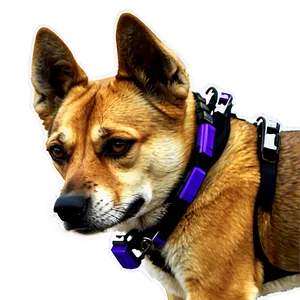 Guard Dogs PNG Tcg17