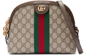 Gucci Signature Canvas Shoulder Bag PNG image