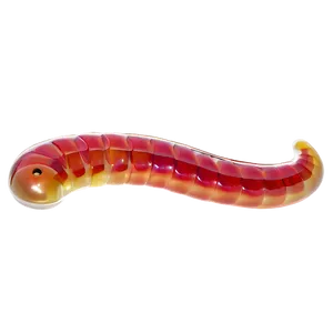 Gummy Worm Carnival Treat Png 20 PNG image