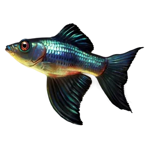 Guppy Fish Transparent Png 05262024 PNG image