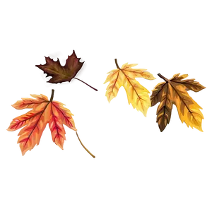 Gusty Fall Leaves PNG 06132024 PNG