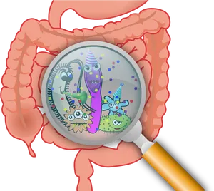 Gut Bacteria Cartoon Magnified PNG