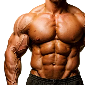 Gym Muscle Growth PNG 32