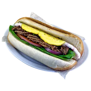 Gyro Sandwich PNG 05232024 PNG