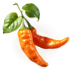 Habanero C PNG image