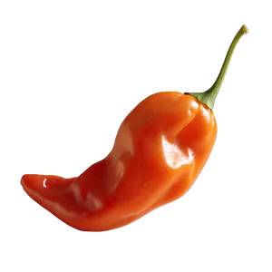 Habanero D PNG image