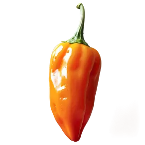 Habanero Pepper PNG 92