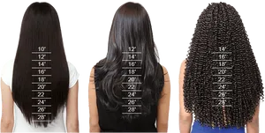 Hair Length Comparison Chart PNG