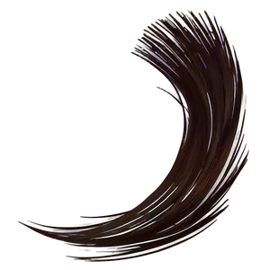 Hair Strand Silhouette Png 74 PNG image