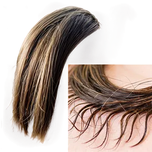 Hair Strand With Split Ends Png Txx PNG image