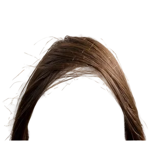 Hair Strand With Texture Png 95 PNG image