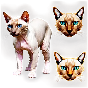 Hairless Cat A PNG image