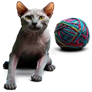 Hairless Cat And Yarn PNG Ojm PNG