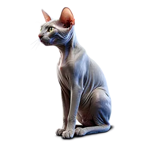 Hairless Cat D PNG image