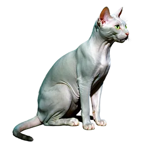 Hairless Cat Green Eyes PNG Iki PNG