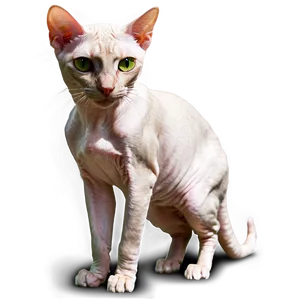 Hairless Cat Green Eyes PNG Psv PNG