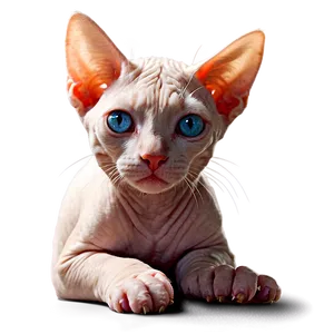 Hairless Cat In Sunlight PNG Pds