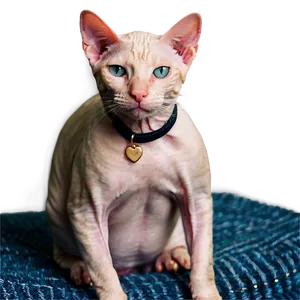 Hairless Cat On Lap PNG 64 PNG
