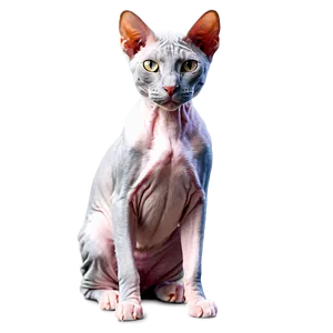 Hairless Cat Pet Png 06252024 PNG image