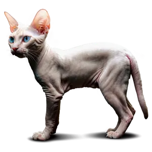 Hairless Cat Profile Side PNG Lgj56 PNG