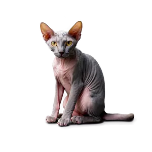 Hairless Cat Sitting Png 98 PNG image