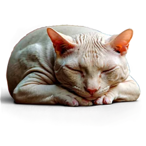 Hairless Cat Sleeping PNG Eum