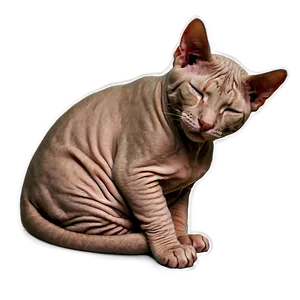 Hairless Cat Sleeping PNG Jem