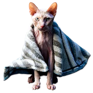 Hairless Cat With Blanket PNG Pqo PNG