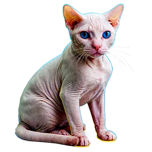Hairless Cat With Toy PNG Gsb2 PNG