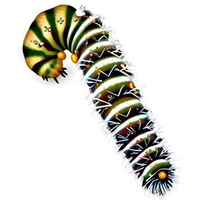 Hairy Caterpillar Image PNG Ahg51