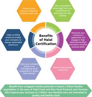 Halal Certification Benefits Infographic PNG image