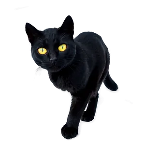 Halloween Black Cat Png 04292024 PNG image