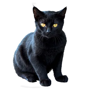 Halloween Black Cat Png Lpx PNG image