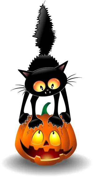 Halloween Black Catand Jack O Lantern PNG image