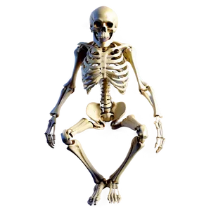 Halloween Bones PNG 05242024