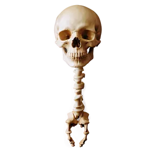 Halloween Bones PNG 05242024 PNG