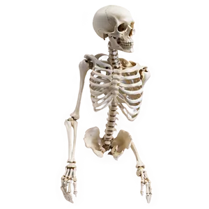 Halloween Bones PNG Lfx17