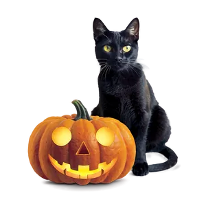 Halloween Cat PNG Beg64