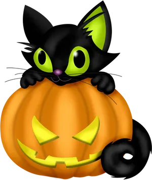 Halloween Caton Pumpkin