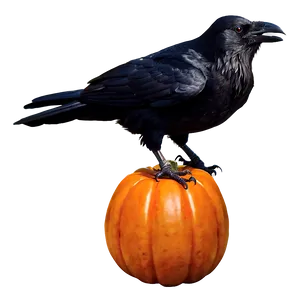 Halloween Crow PNG 05232024 PNG
