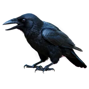 Halloween Crow Png 20 PNG image