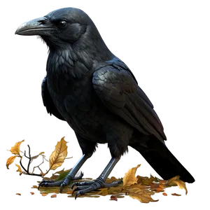 Halloween Crow PNG Bvx