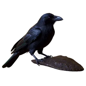 Halloween Crow PNG Pqs79 PNG